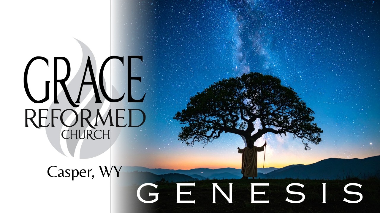 Sermon 2.8.26 - 