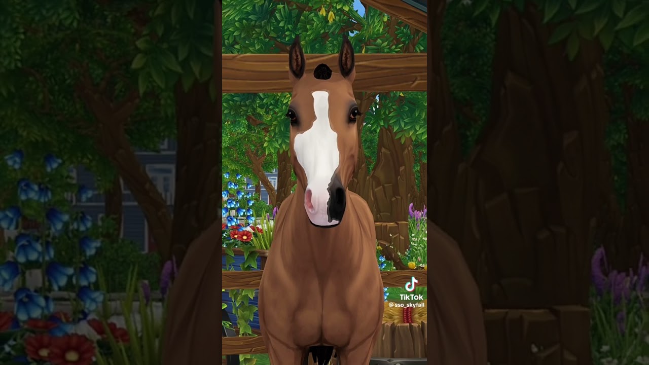 Star Stable TikTok Compilation #5!