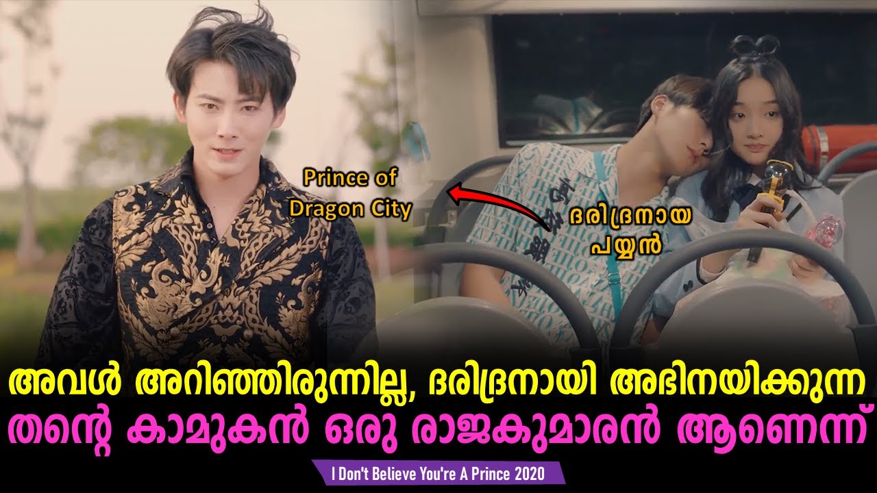 I Don't Believe You're A Prince Explained In Malayalam | Chinese Movie explained |@Cinemakatha
