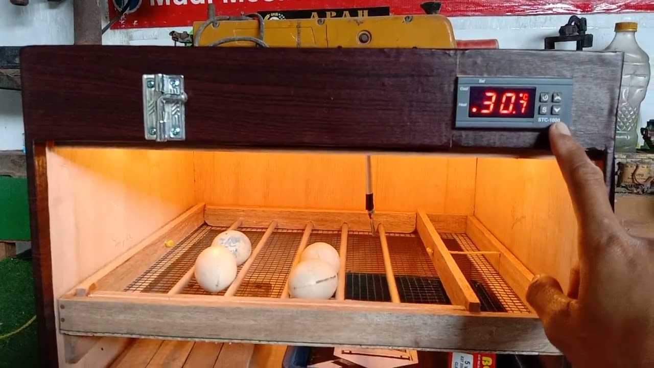 MESIN TETAS KAPASITAS 30 BUTIR