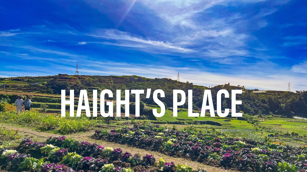 Haight’s Place Atok Benguet 2023