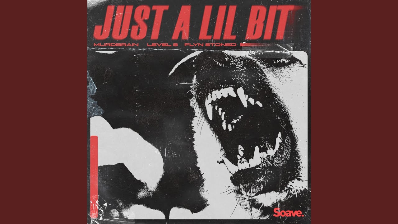 Just A Lil Bit