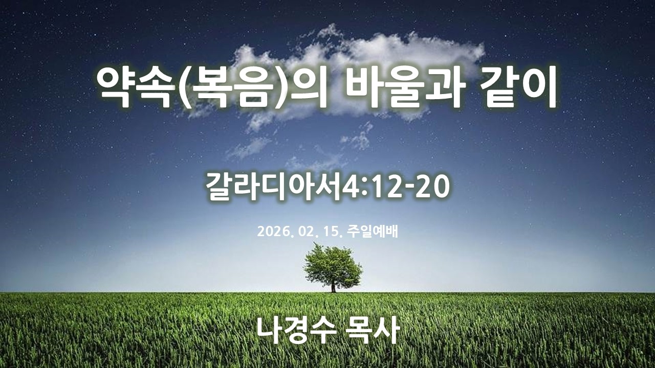 #선한목자교회 | 2026-02-15주일예배 | 갈4:12-20 (약속(복음)의 바울과 같이) | 나경수 목사