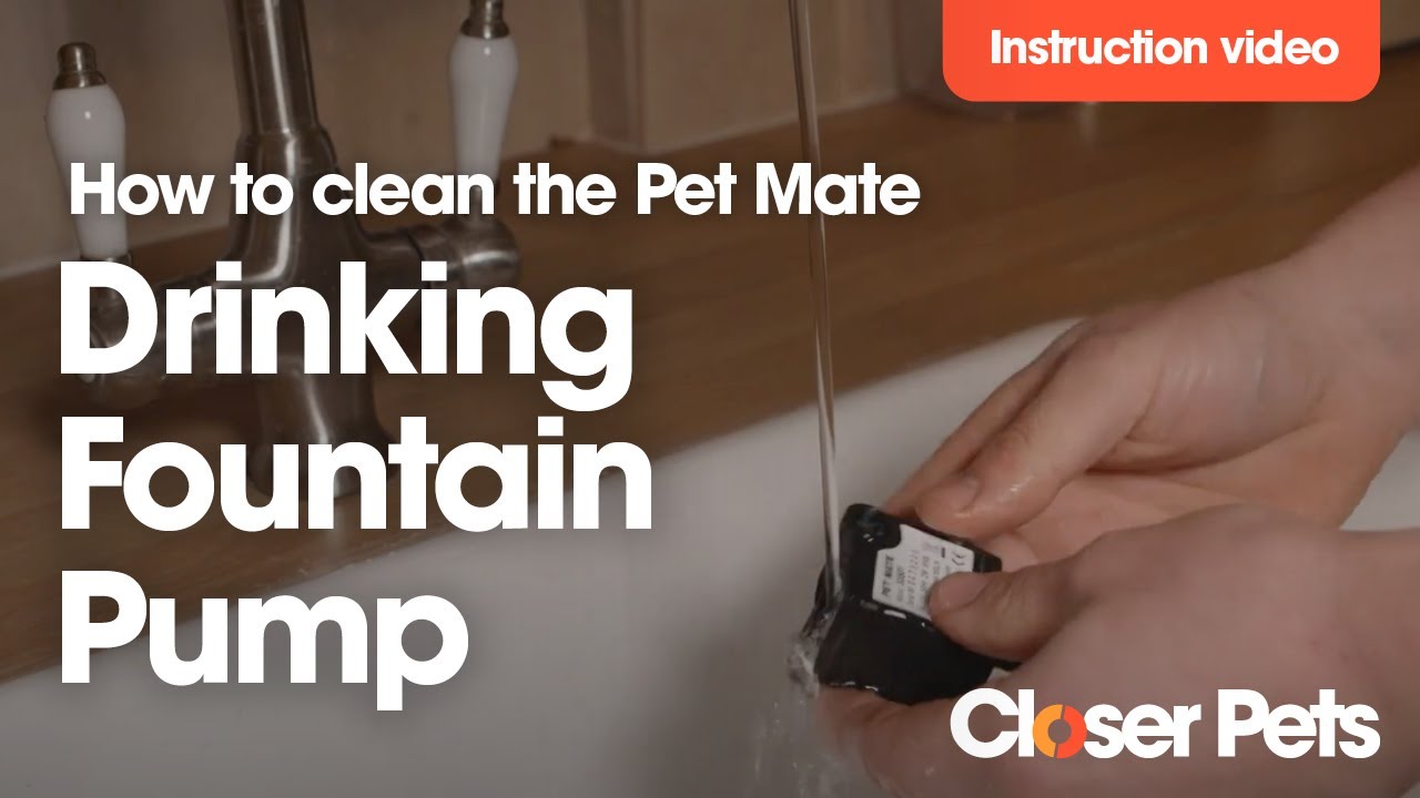 Instruction Video: How to clean your pet fountain pump
