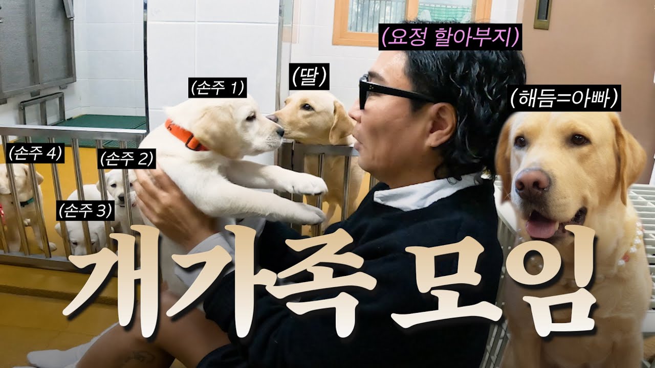 잘 키운 아들 하나, 열 손주 데려온다&hearts;｜삼성 안내견학교, 해듬이 가족, 편육 샌드위치