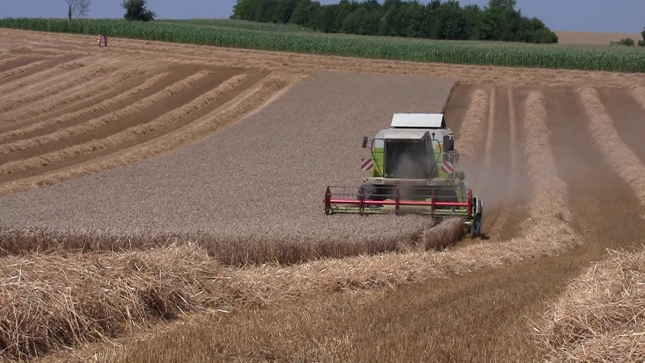 Moissonneuse Batteuse Claas dominator Mega 218 - moissons de blé - Placey -  Doubs - Franche Comté -