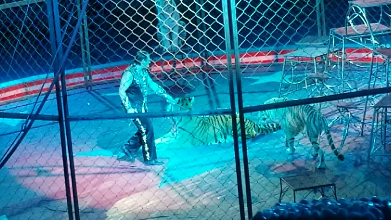 Adam Burck's Big Cats, Northern Kentucky University Arena, October 20, 2019