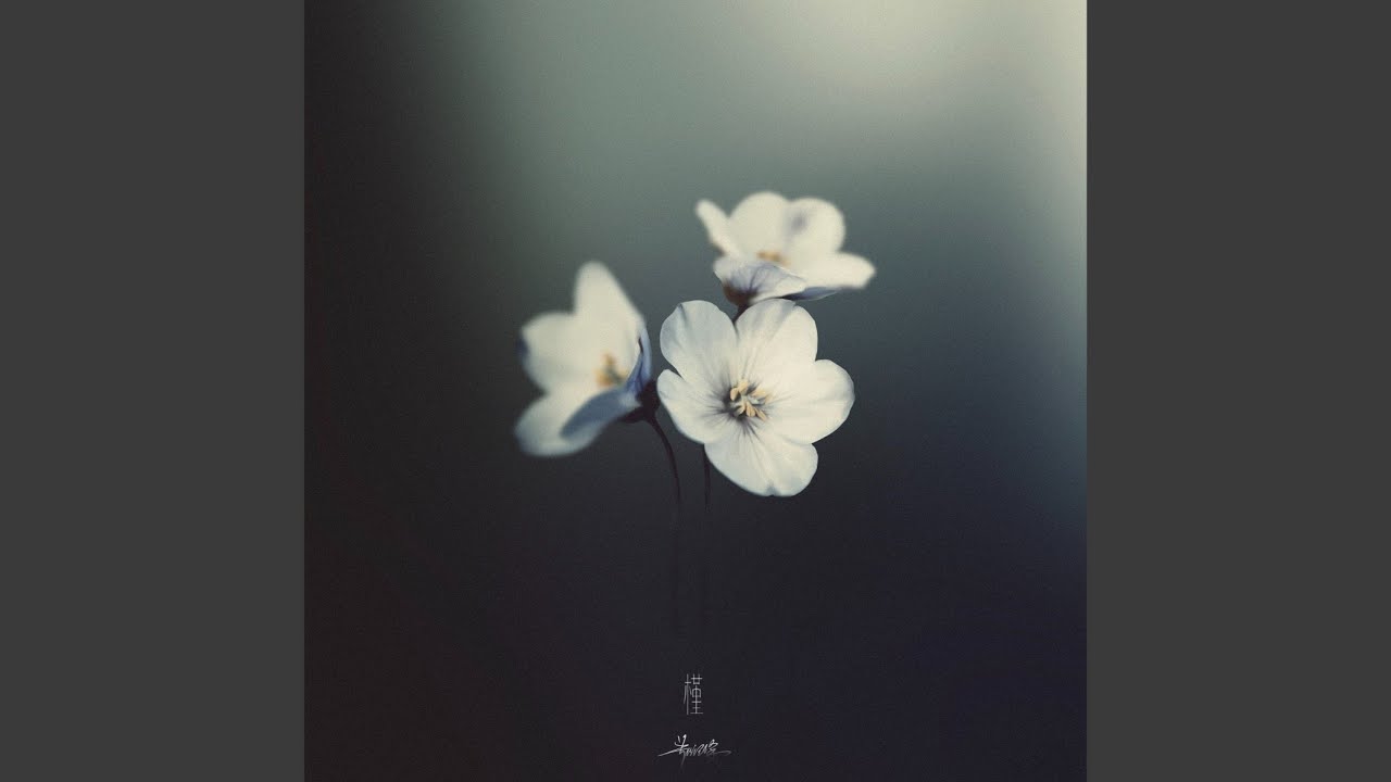槿