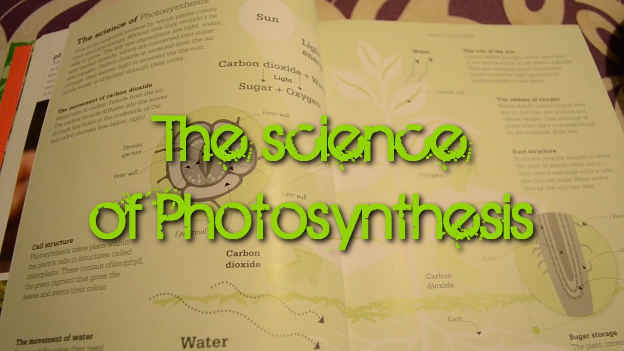 ASMR ~ The Science of Photosynthesis - Close up Binaural Ear to Ear Whisper