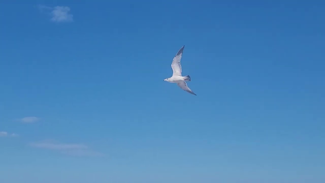 Beach vibes