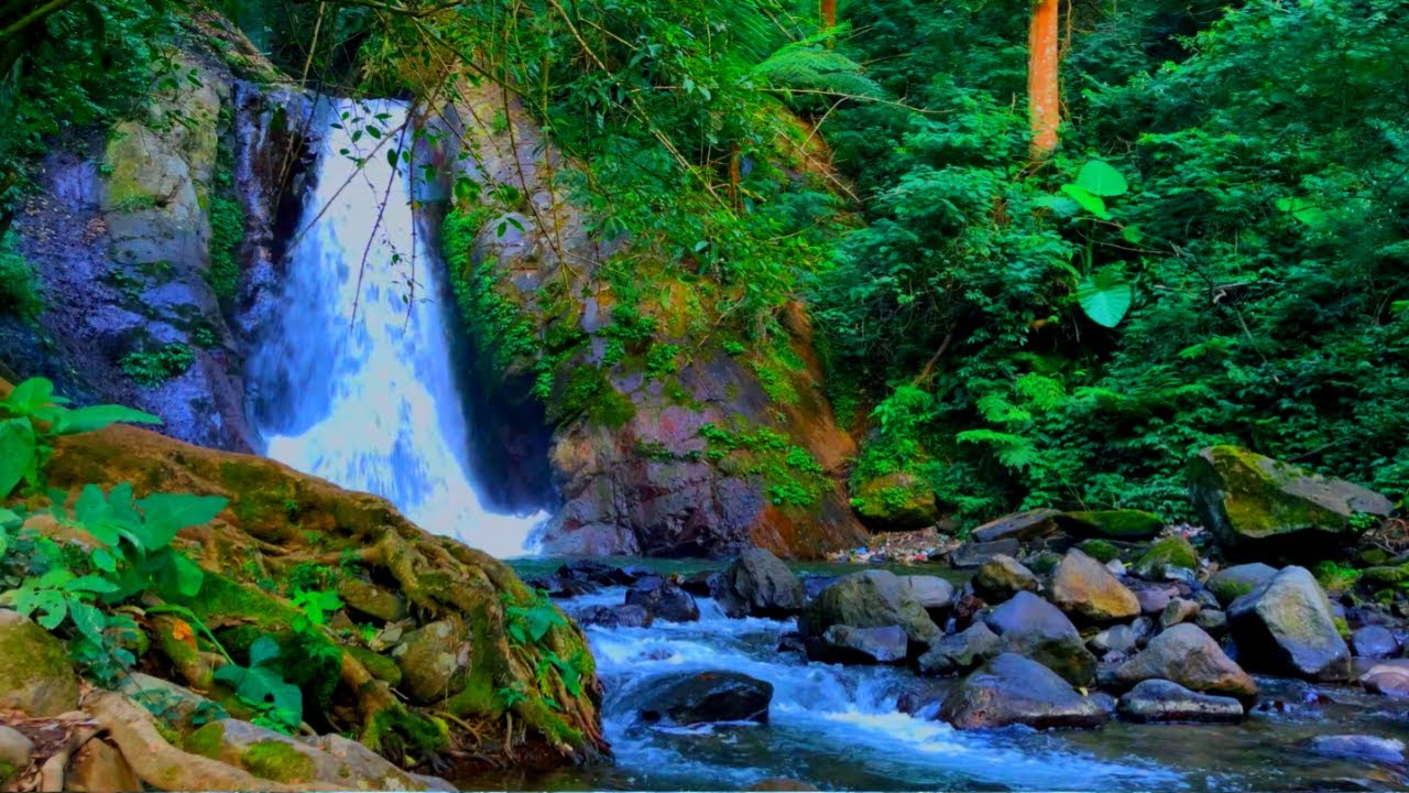 Waterfall Sounds for Sleeping, Water Sounds for stress relief, River Sounds for relaxation