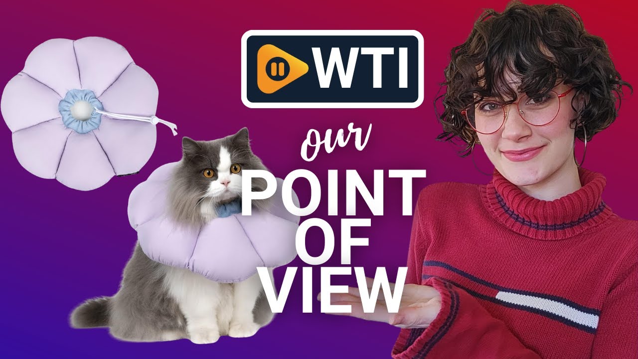 H HIDREAM Cat Cone Collar | Our Point Of View