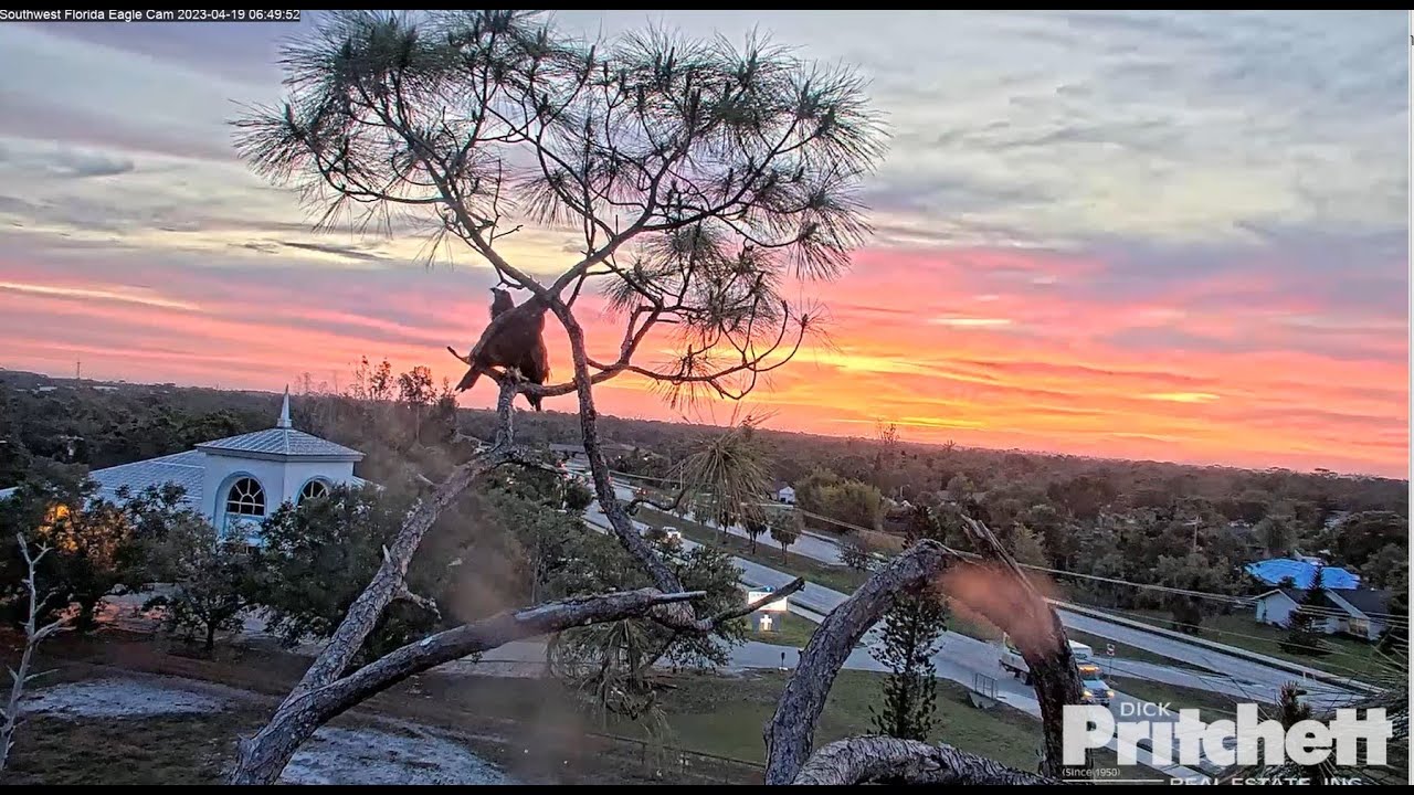 Beautiful Sunrise with E21 & E22 (Thinking of Harriet)