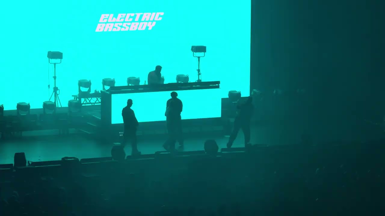 Electric Bassboy - We Got The Moves (Live bei Rock im Park | 08.06.2025 | 4K)