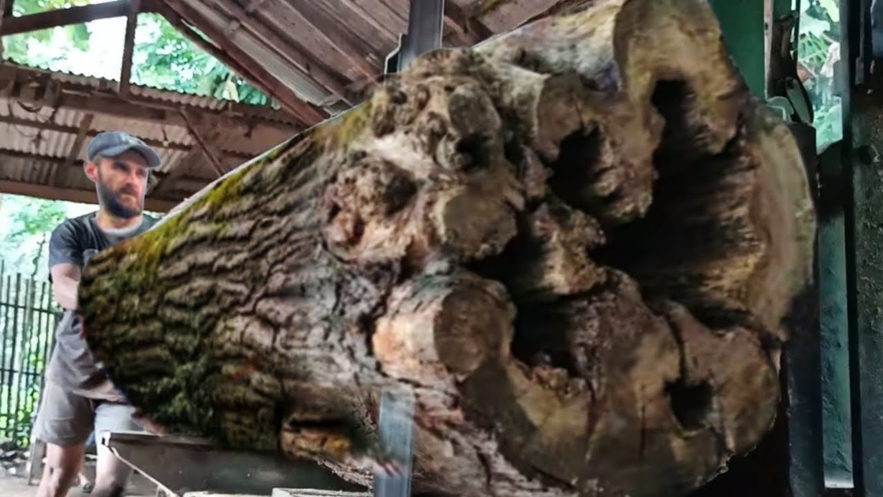 The Dramatic process of chopping very hard Giant logs in a Sawmill 