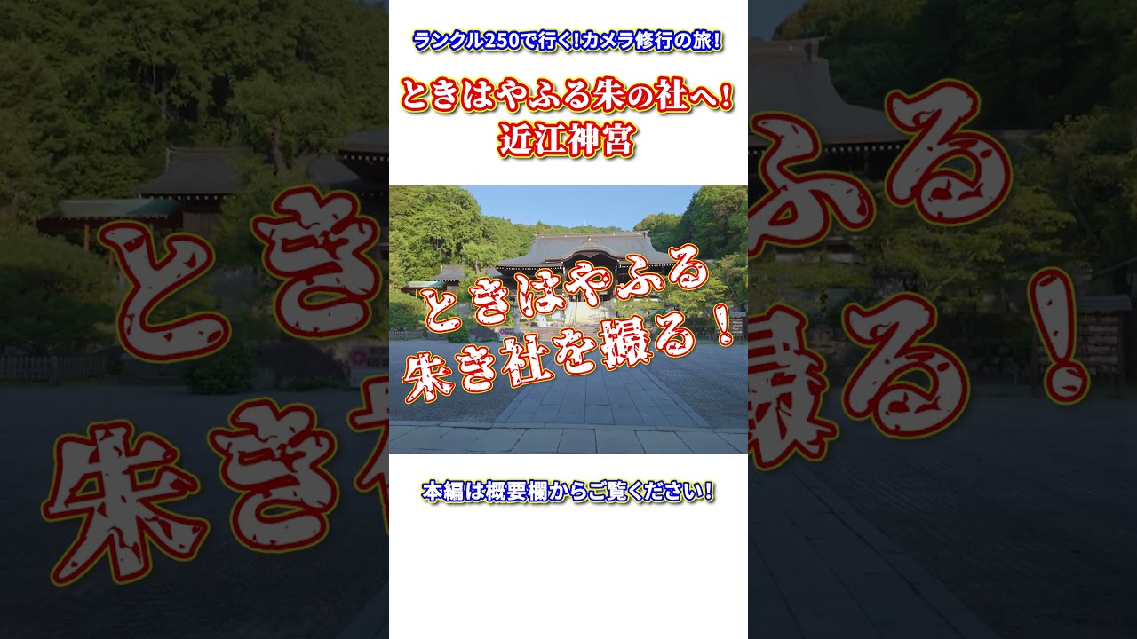【近江神宮】ときはやふる朱の社を撮る！ ランクル250で行く早朝PhotoWalk Vlog｜ちはやふる聖地巡礼 #shorts #近江神宮 #ちはやふる #PhotoVlog #ランクル250