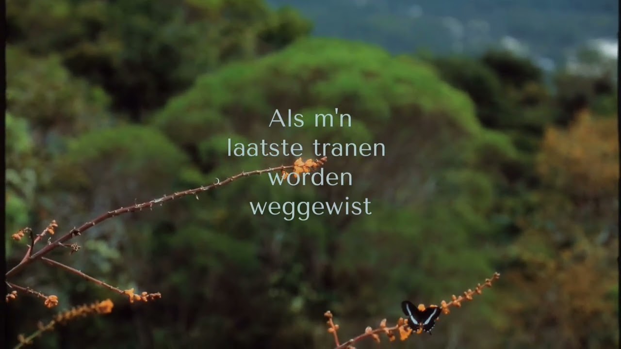 Delise - Mooie vlinder