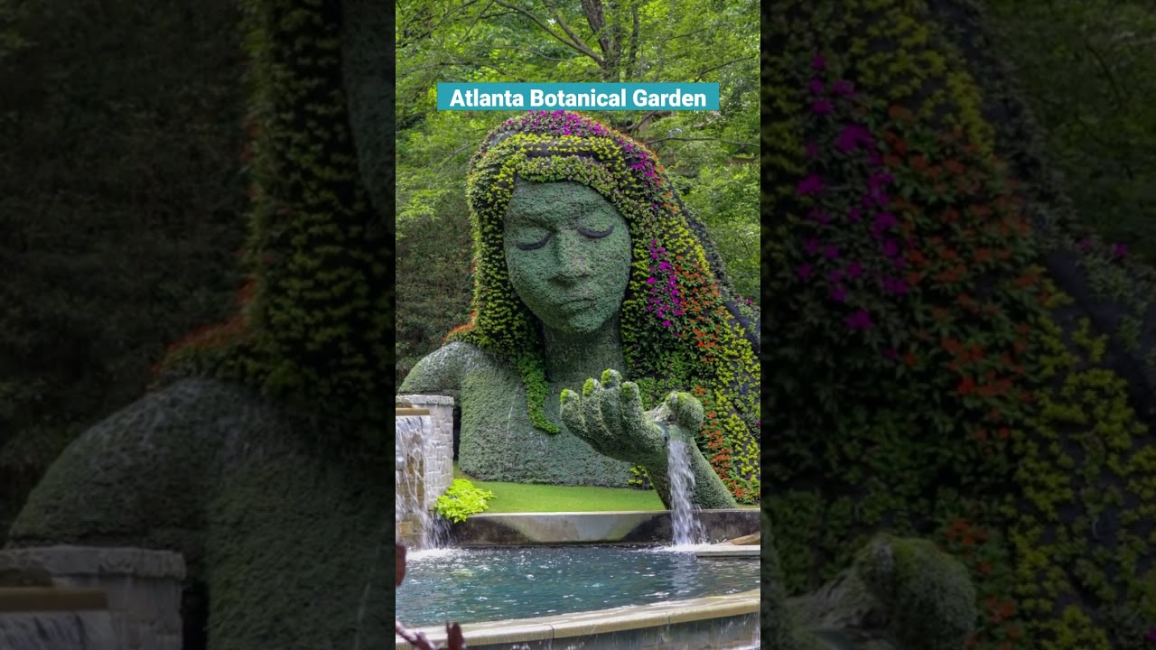 35 Fun Things to Do with Kids in Atlanta