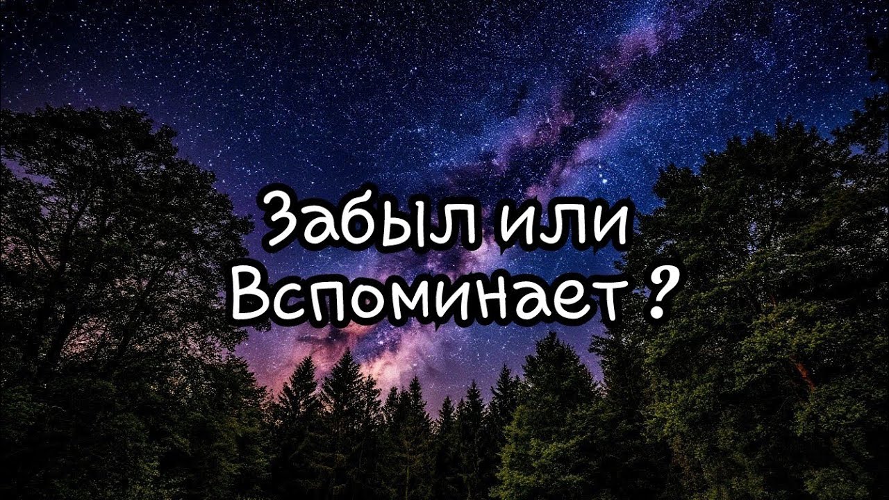 👑 4 Короля 👑 Забыл или нет ❔🤫 | Таро расклад