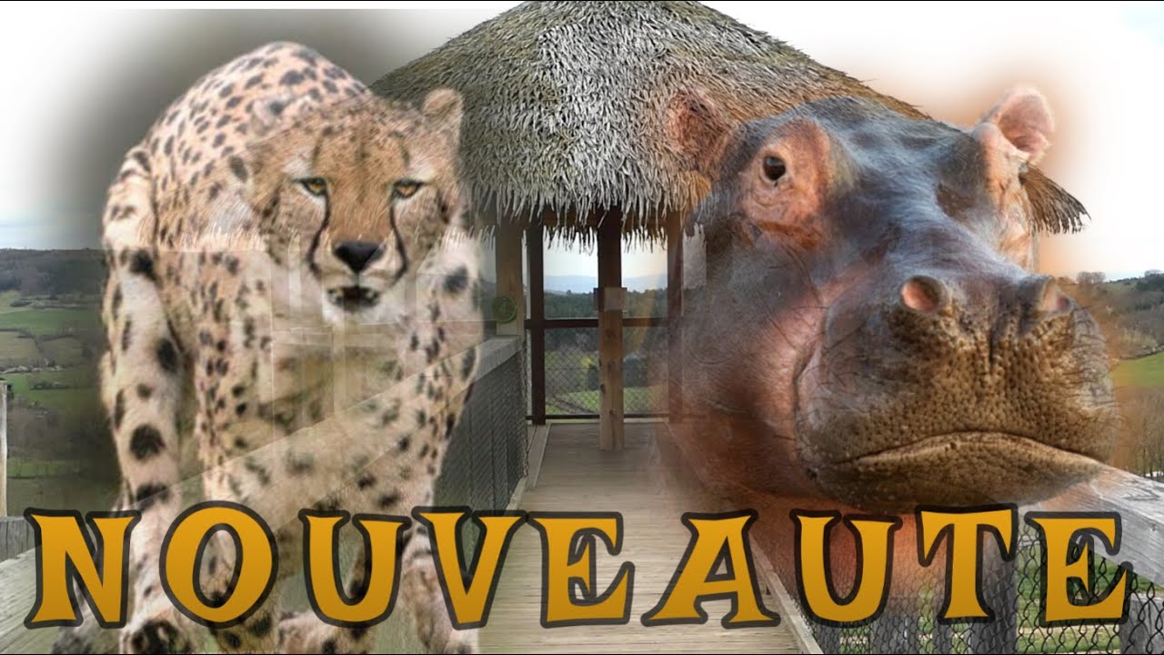 Ils sont ENFIN là!!!!!!!