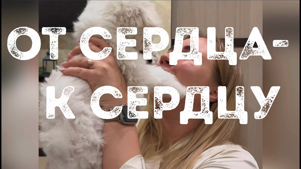Как растут щенки Бишон Фризе? Весь путь от рождения до счастливой семьи! Питомник Агнелль Де Неж