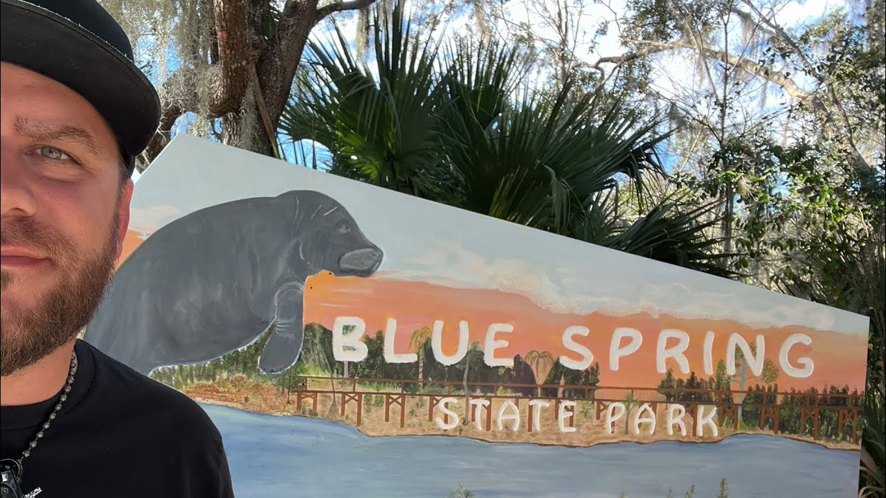 Looking for Manatees at Blue Spring State Park! Orange City, FL