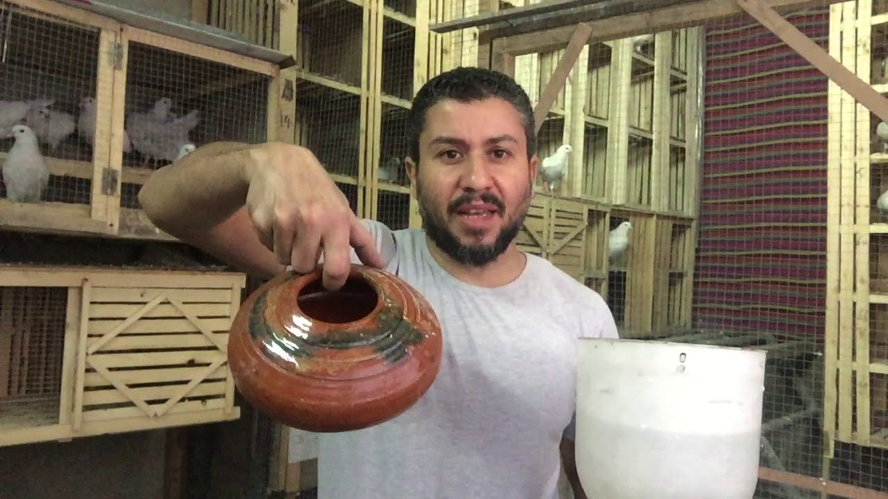 بديل طبيعى للأملاح المعدنيه والجروفيت