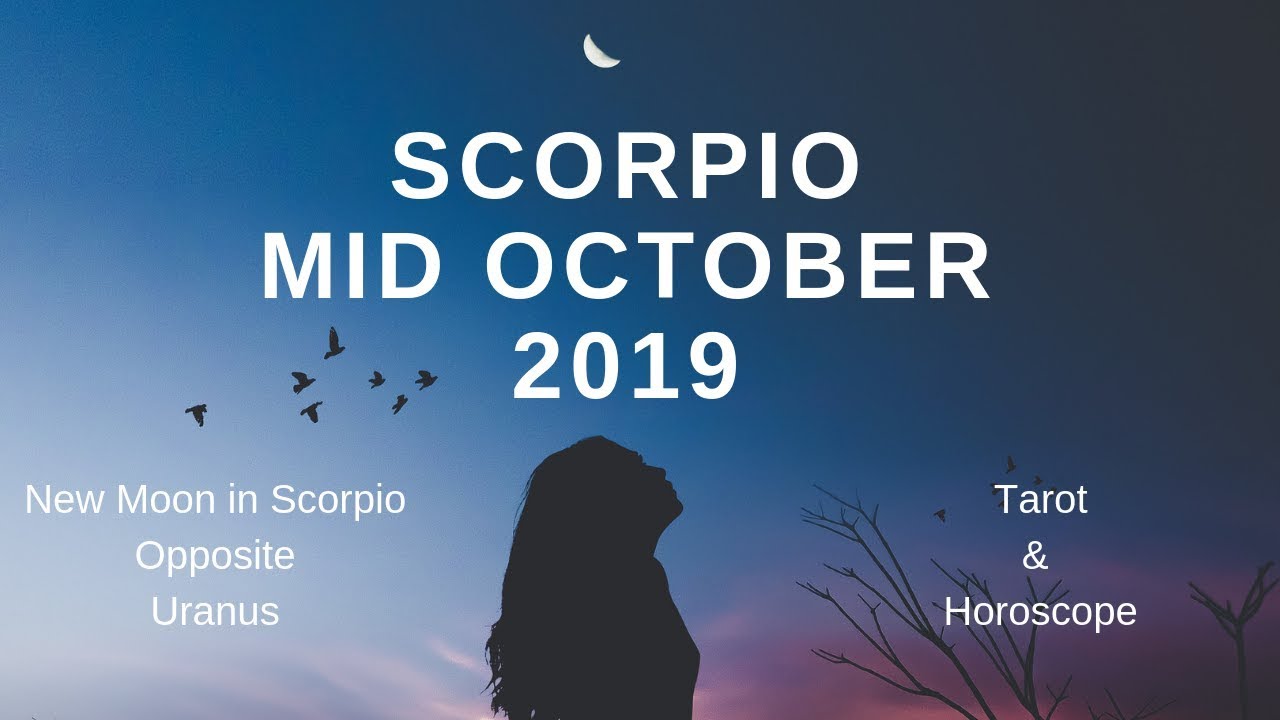 SCORPIO A magical chance at Love 💞 | Mid October 2019 | Tarot and Horoscope