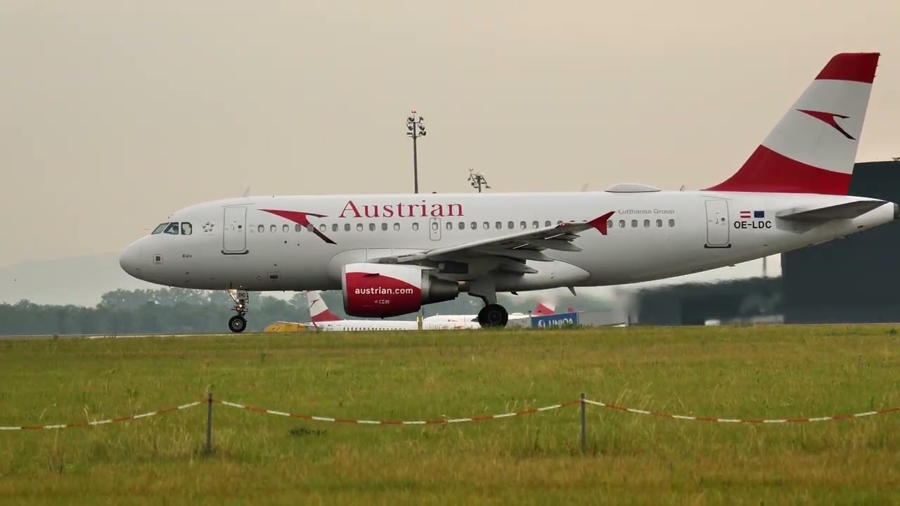 AUSTRIAN AIRBUS A319 OE-LDA, OE-LDB, OE-LDC, OE-LDD, OE-LDF, OE-LDG. What's wrong with them now?