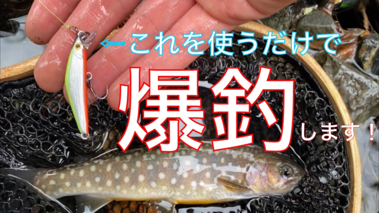 【2020渓流】Dコン38使ったら爆釣した！
