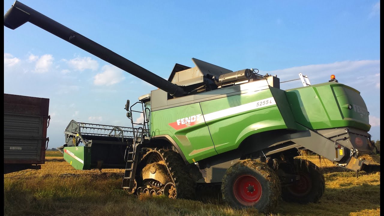 Fendt 5255 L MCS | Rice Harvest