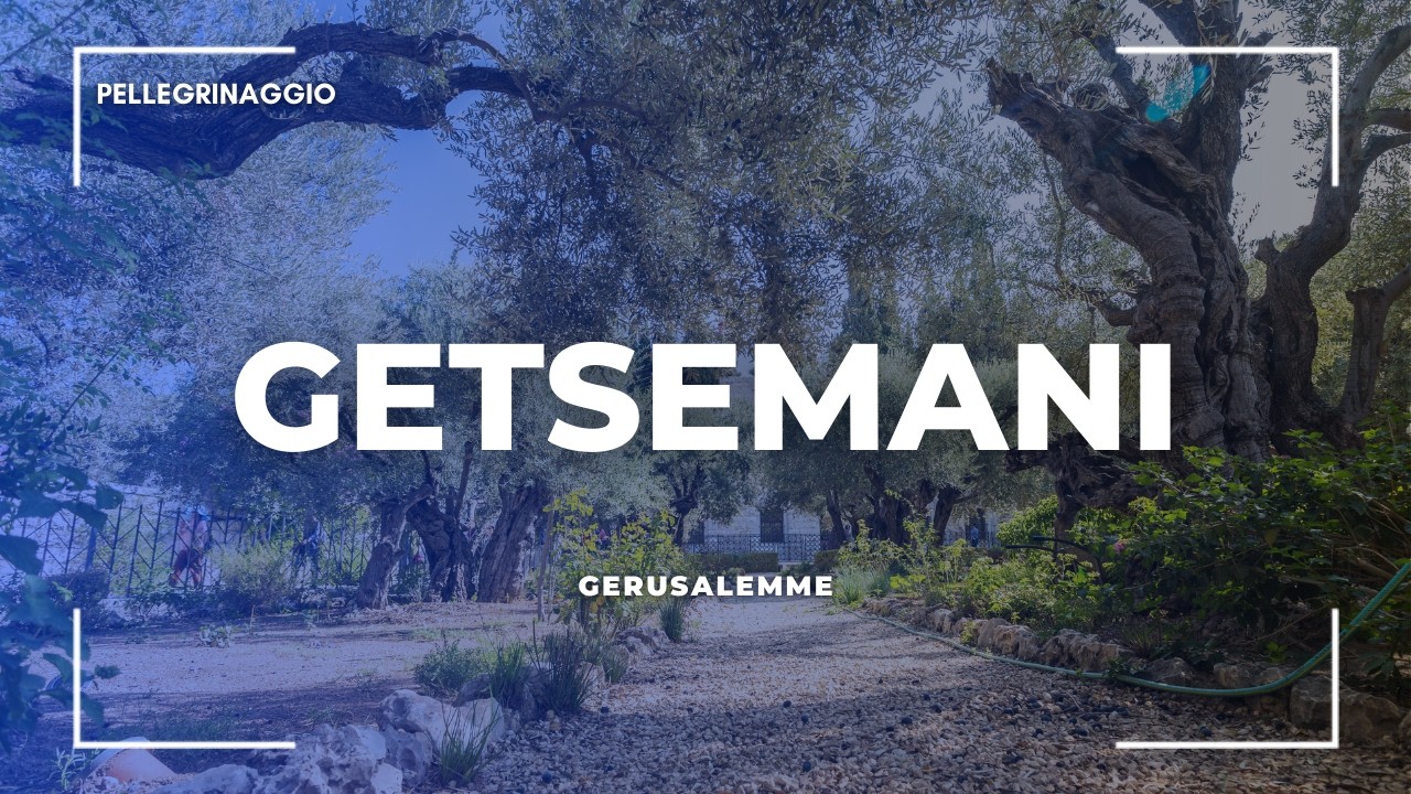 Getsemani: L'Orto degli Ulivi e la Basilica dell'Agonia | Pellegrinaggio con Fra Carlos Molina