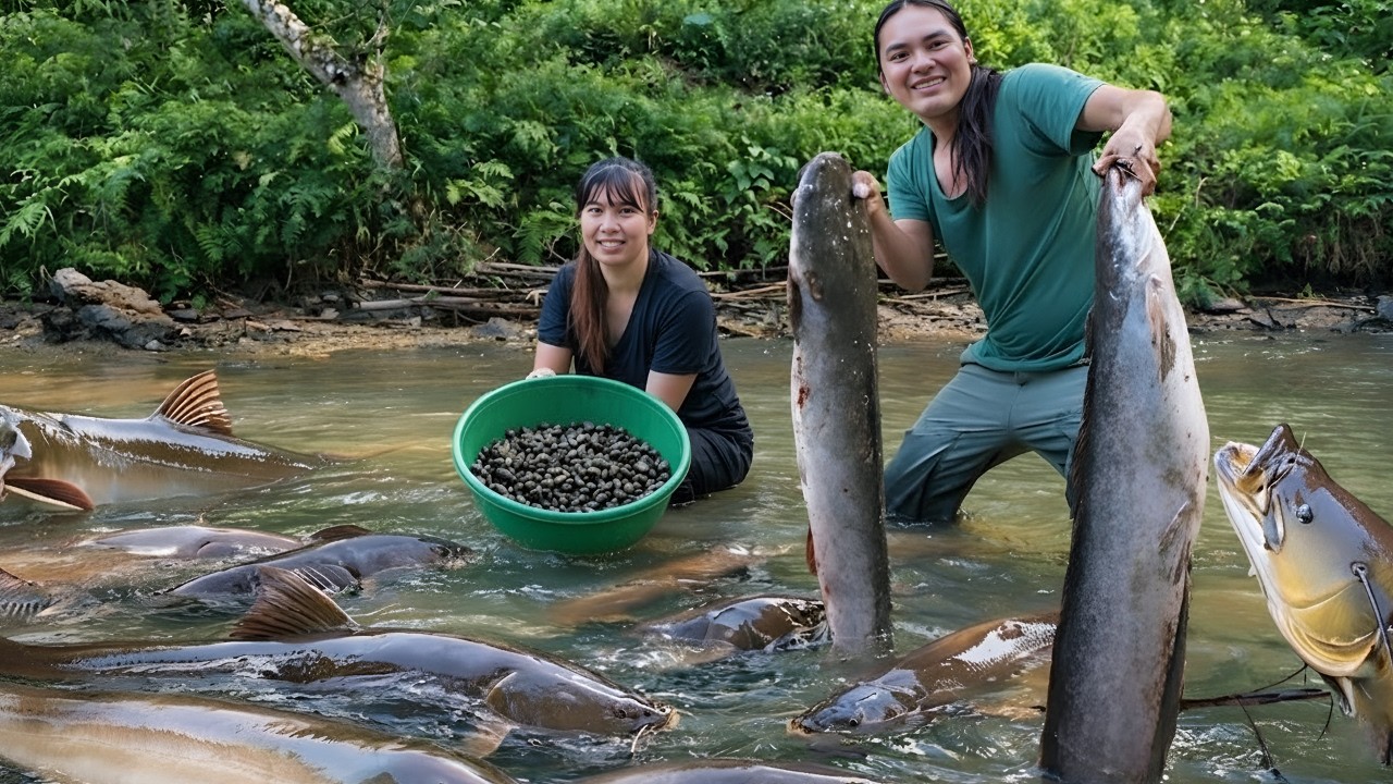 Going fishing for giant fish and collecting snails in our pond with my wife - Survival in the forest