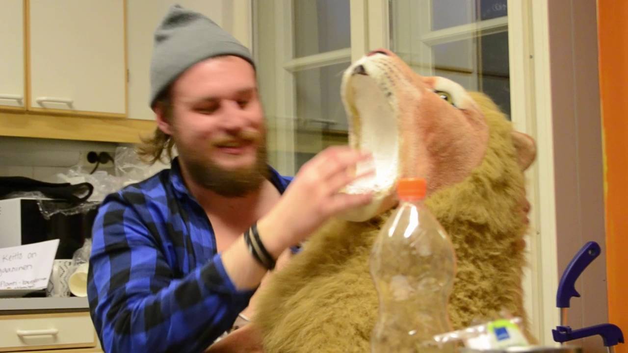 Medeia vlog #8 - Sexy Beast