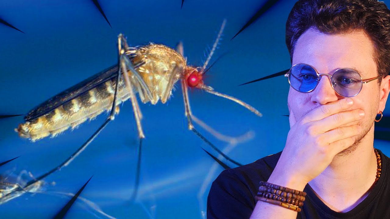 Les Inventions les Plus Immorales !