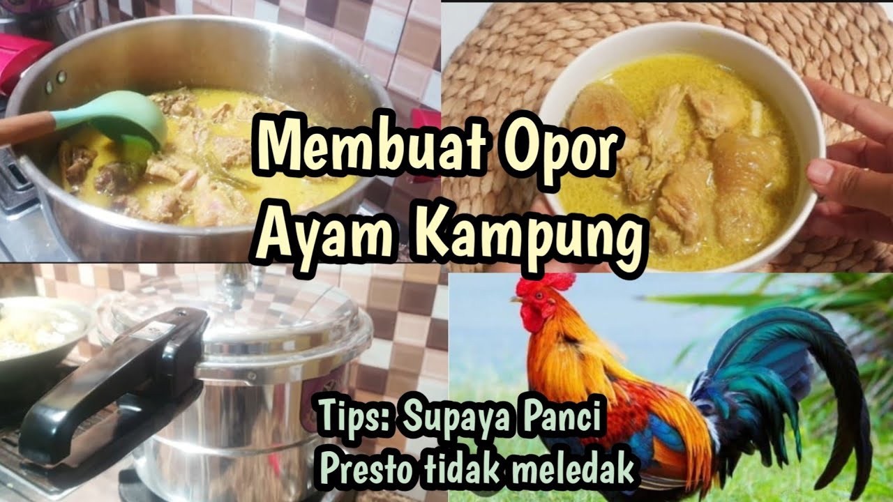 Membuat Opor Ayam Kampung pakai Panci Presto
