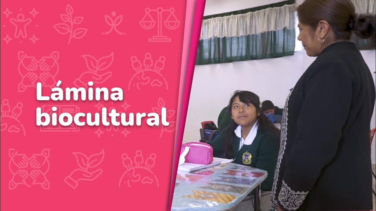 Lámina biocultural • Ética, naturaleza y sociedades • 1er grado | Video detonador