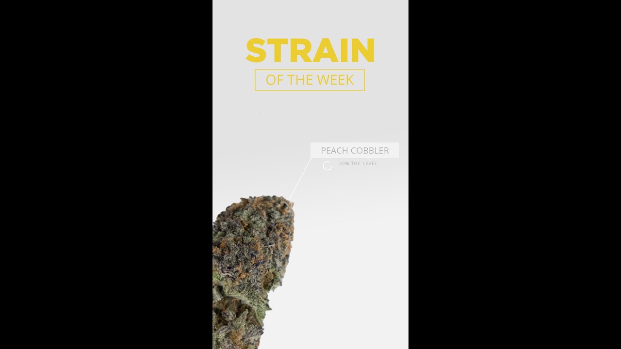 Peach Cobbler Strain Of The Week