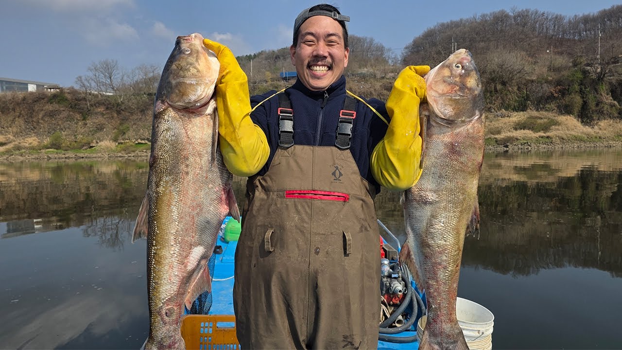진짜 말도 안 됩니다! 우리나라에서 가장 큰 외래종 민물고기를 잡아서 먹어보자!