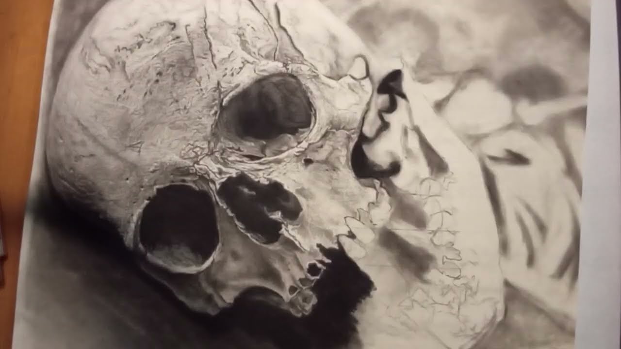 Drawing a realistic Skull part 1