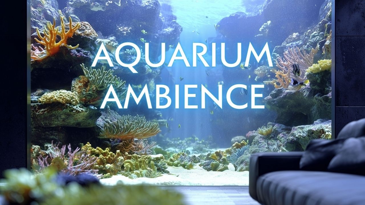 Luxury Aquarium Ambience | 2 Hours Deep Focus Study & Work Background
