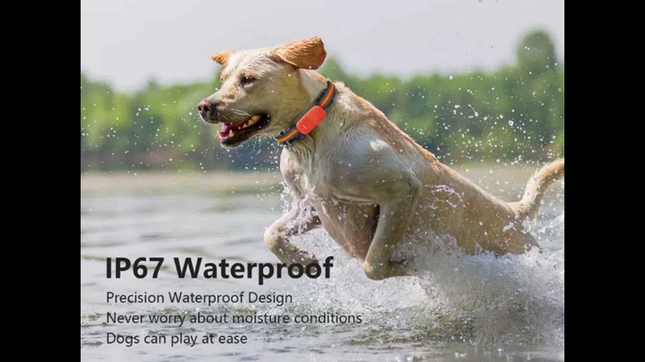New waterproof GPS 4G pet tracker for dog cat wild animals with free IOS Android mobile APP Y33