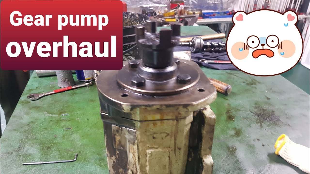 How to maintenance of Gear pump(IMO pump) for diesel engine (Very easy & simple)