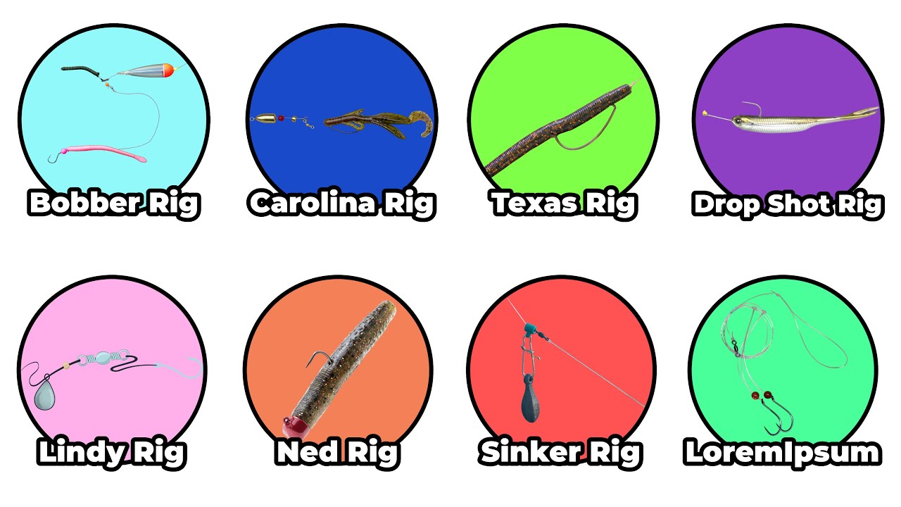 Best Rigs For Every Fishing Trip Explained