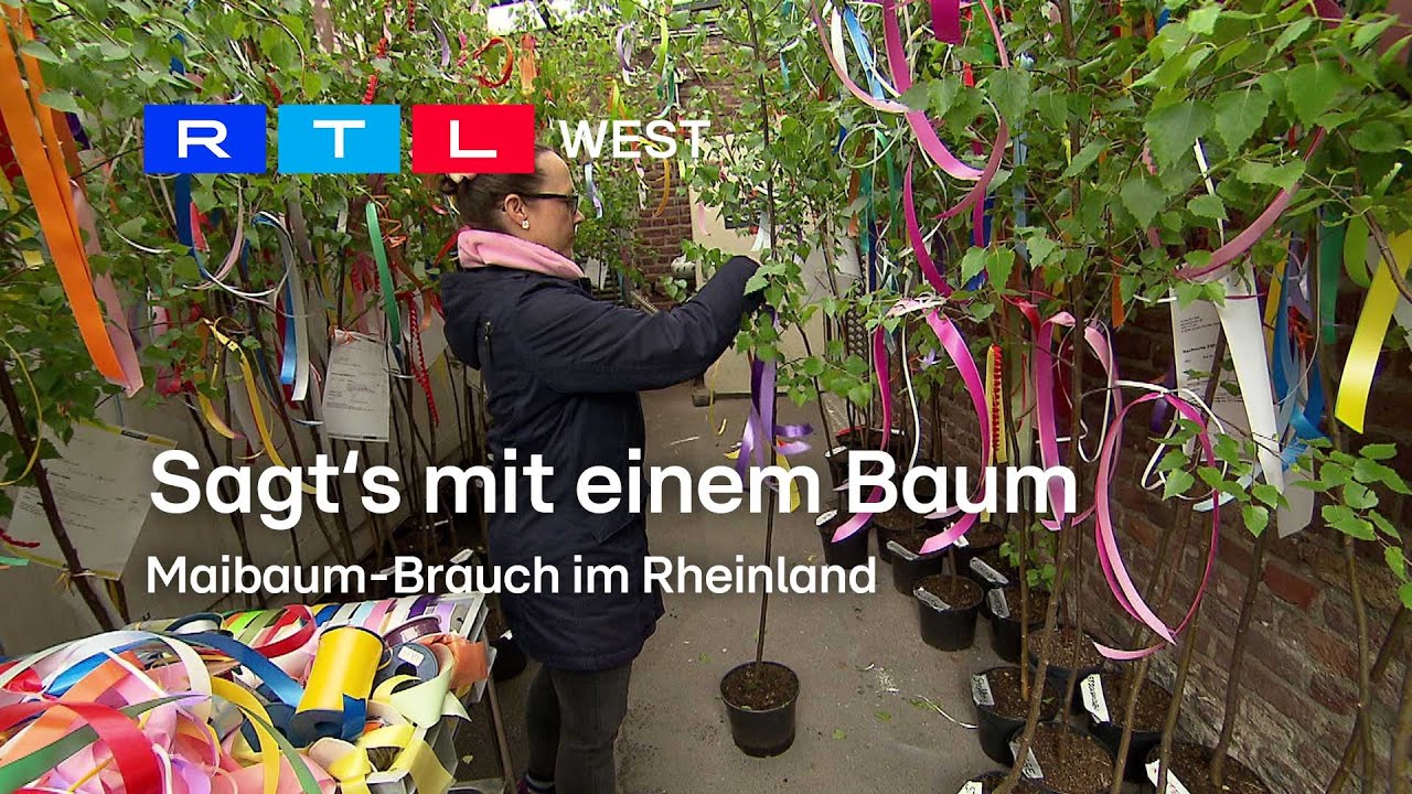 Sagt's mit einem Baum: Maibaum-Brauch im Rheinland | RTL WEST, 25.04.2024