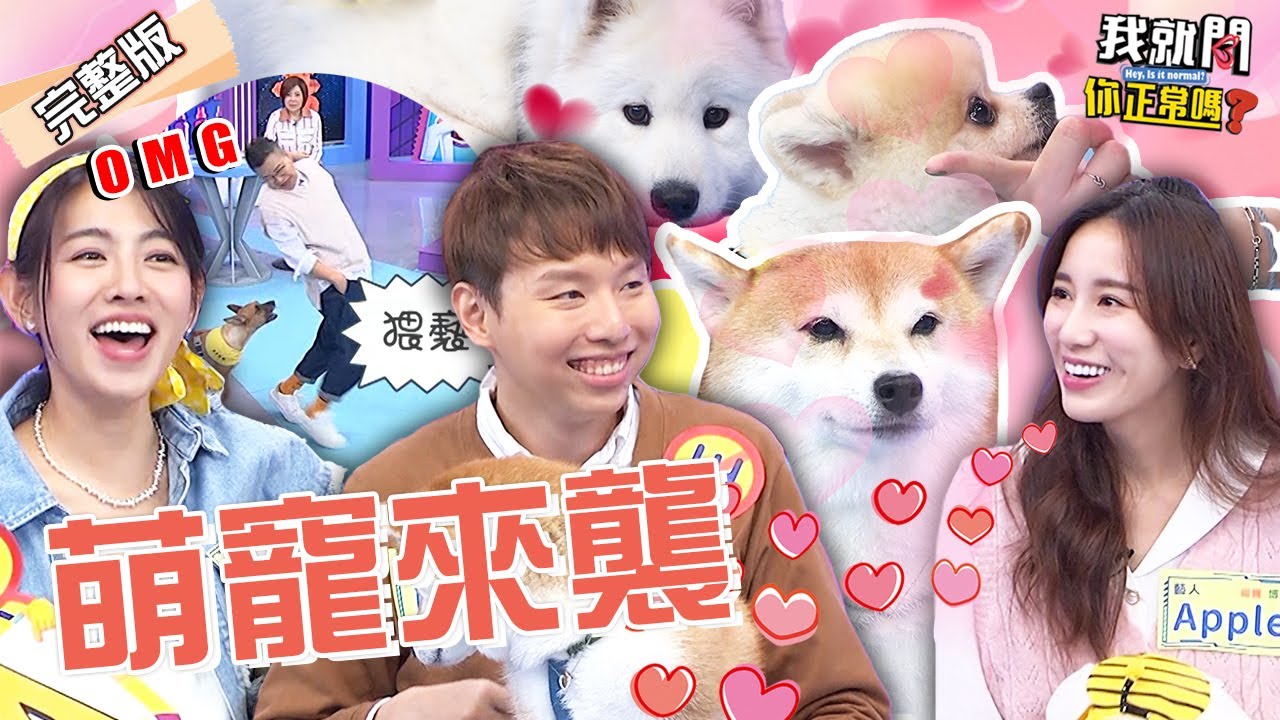 萌寵才藝表演！柴犬Nana展「調節音量」特技！沈玉琳因長相慘遭米可白愛犬狂吠？！Apple 徐瑋吟 楊晨熙︱EP82👄20221226 完整版︱#我就問你正常嗎