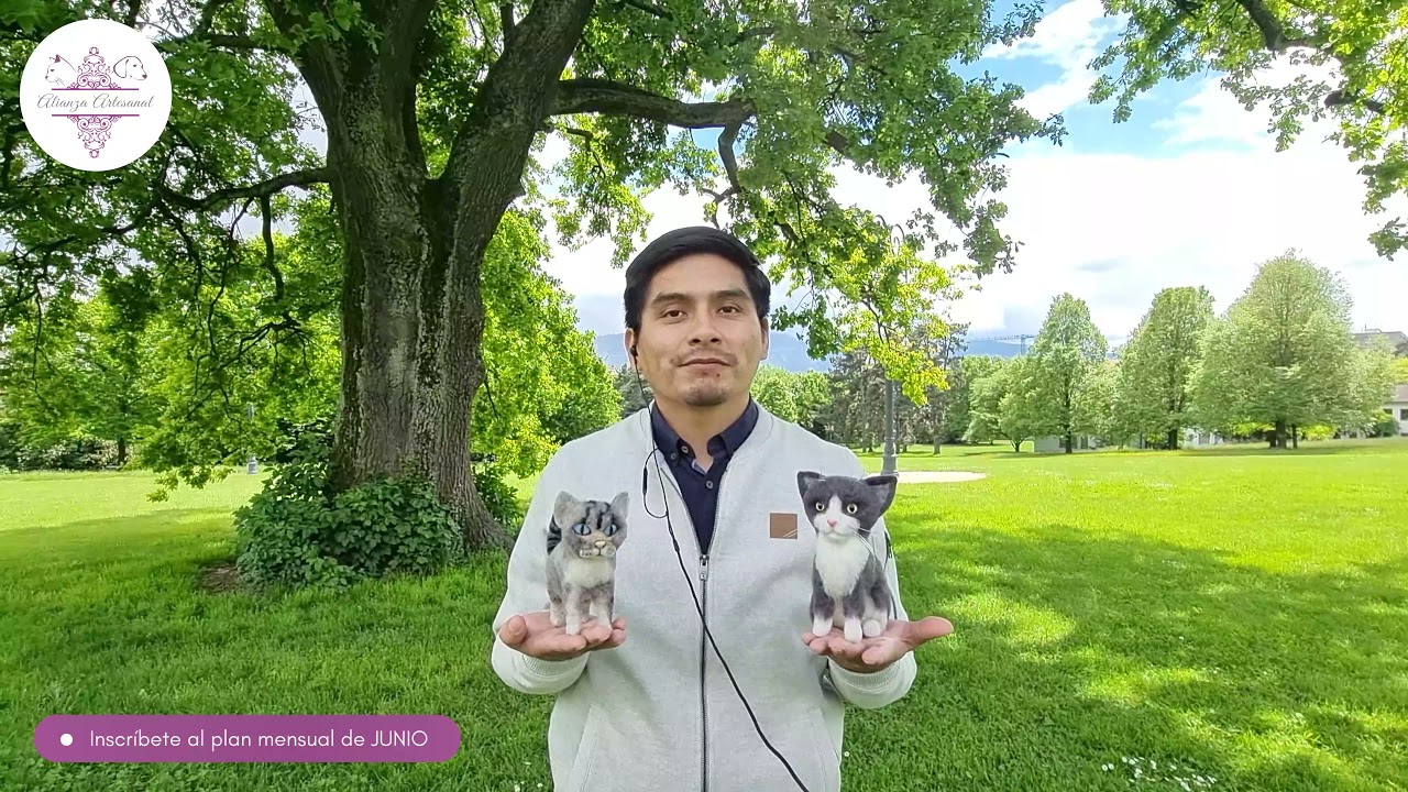 Vellón agujado, GATITOS! - Needle felting