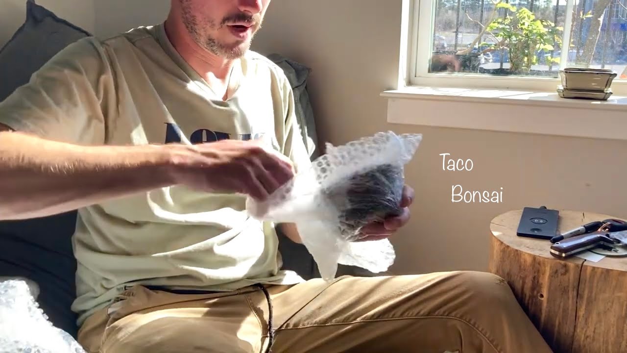 Ep. 40 of Taco Bonsai Unboxing Pots!