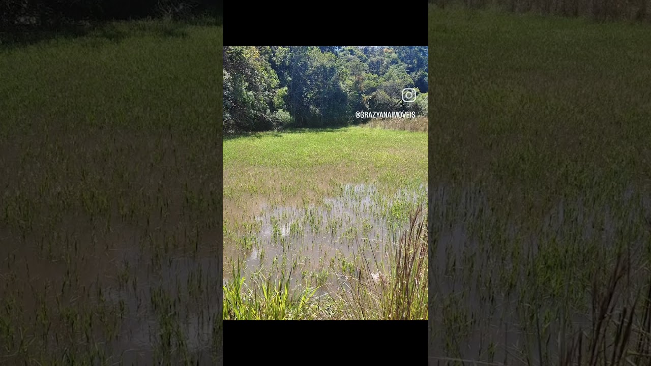 Vende Fazenda  em Curvelo Mg
