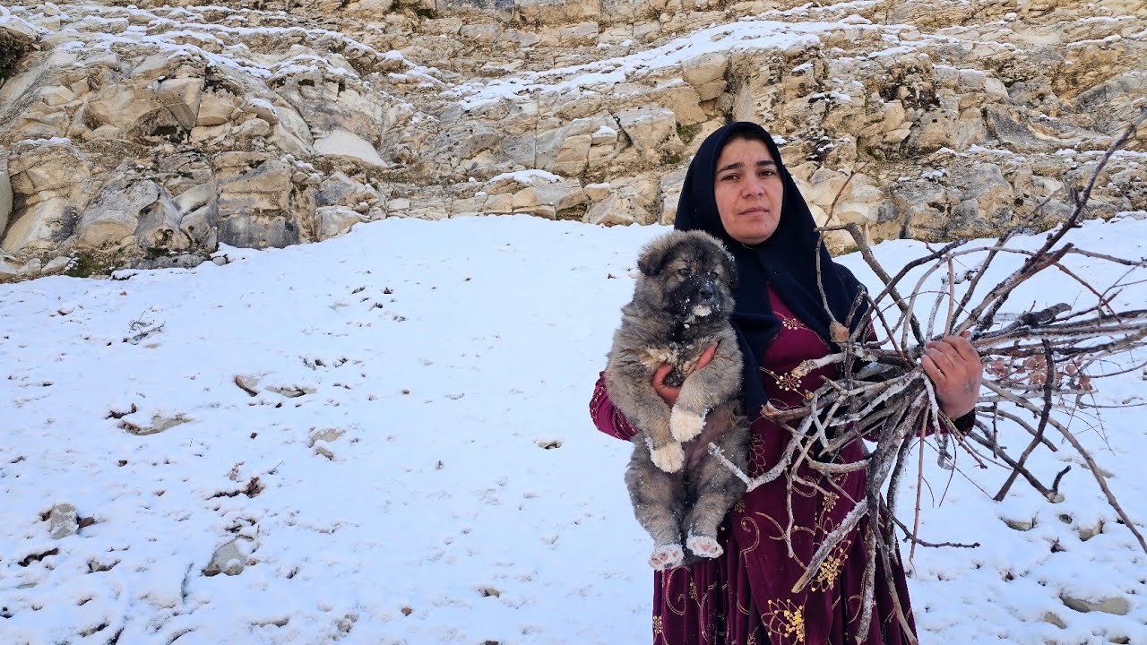 A Nomadic Woman’s Daily Fight for Survival in the Mountains | Real Life Story”